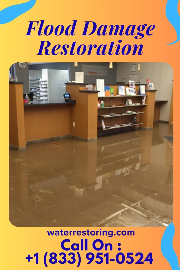 Flood Damage Restoration in Arbutus, MD