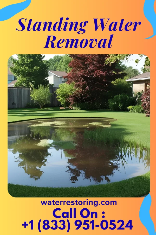 Standing Water Removal in Arbutus, MD
